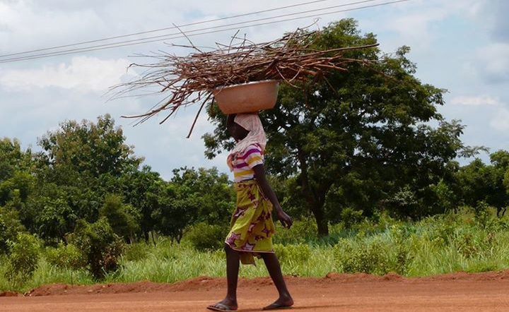 Gender Equality and Food Rights