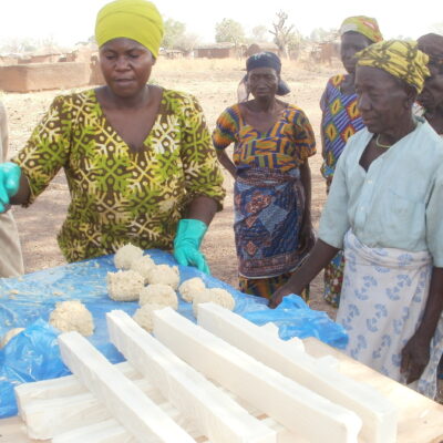 Livelihood Diversification project Songtaba org ghana