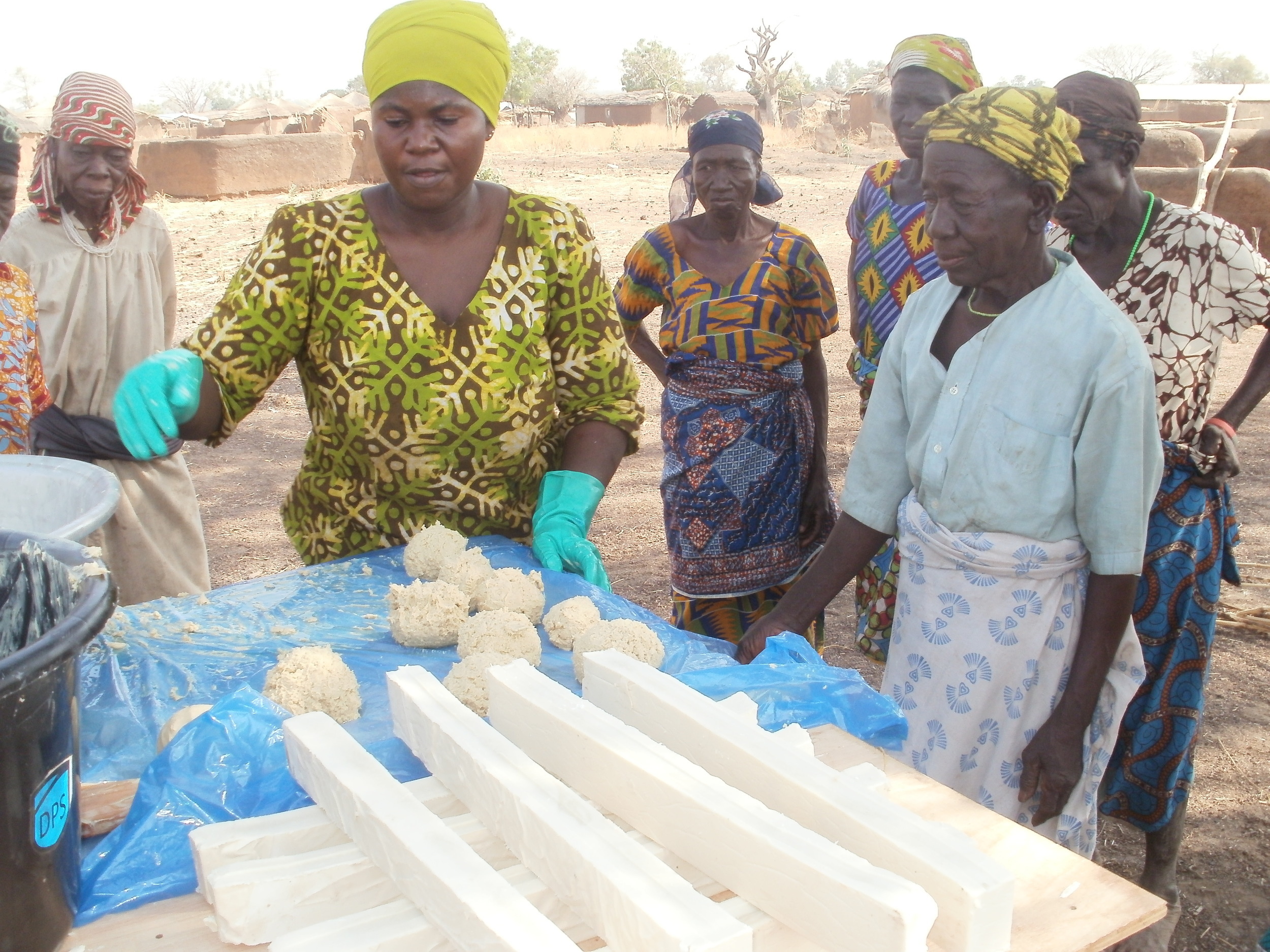 Livelihood Diversification project Songtaba org ghana